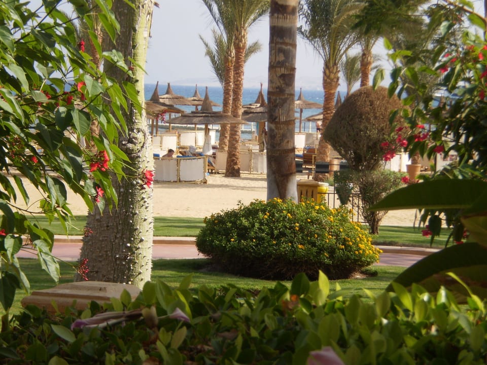 Ausblick von Flur aus Pickalbatros Palace Resort