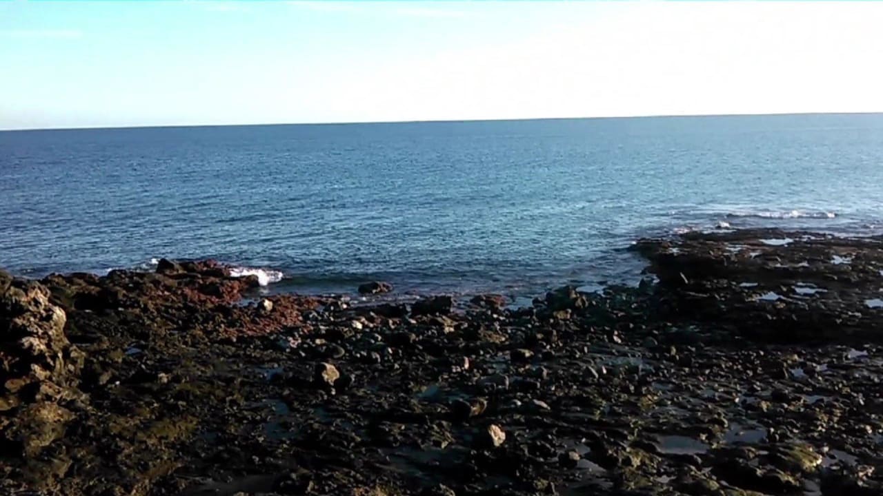 Strand allsun App.-Hotel Albatros