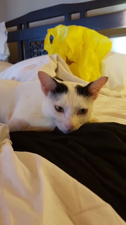 Zimmer Khaolak Laguna Resort