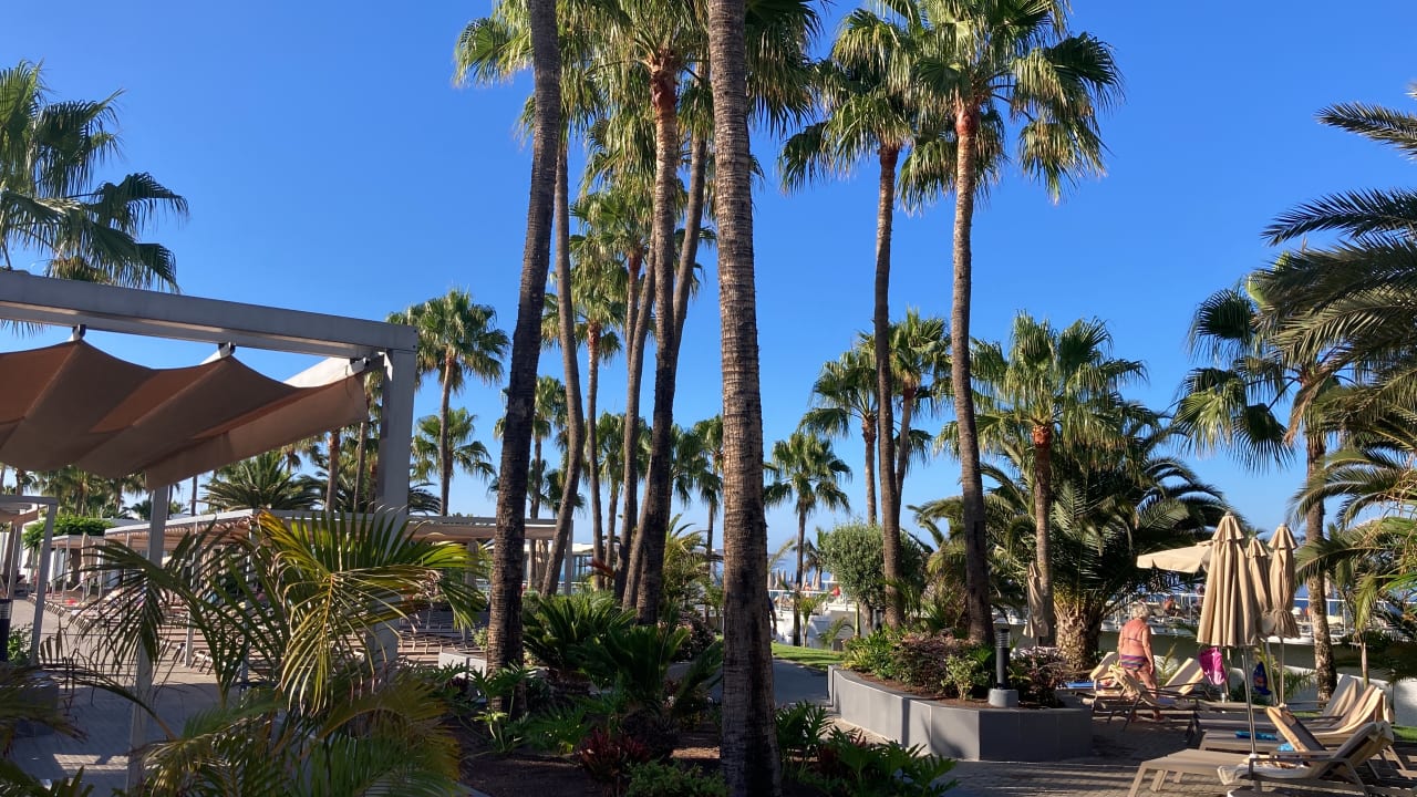 Gartenanlage Hotel Riu Gran Canaria