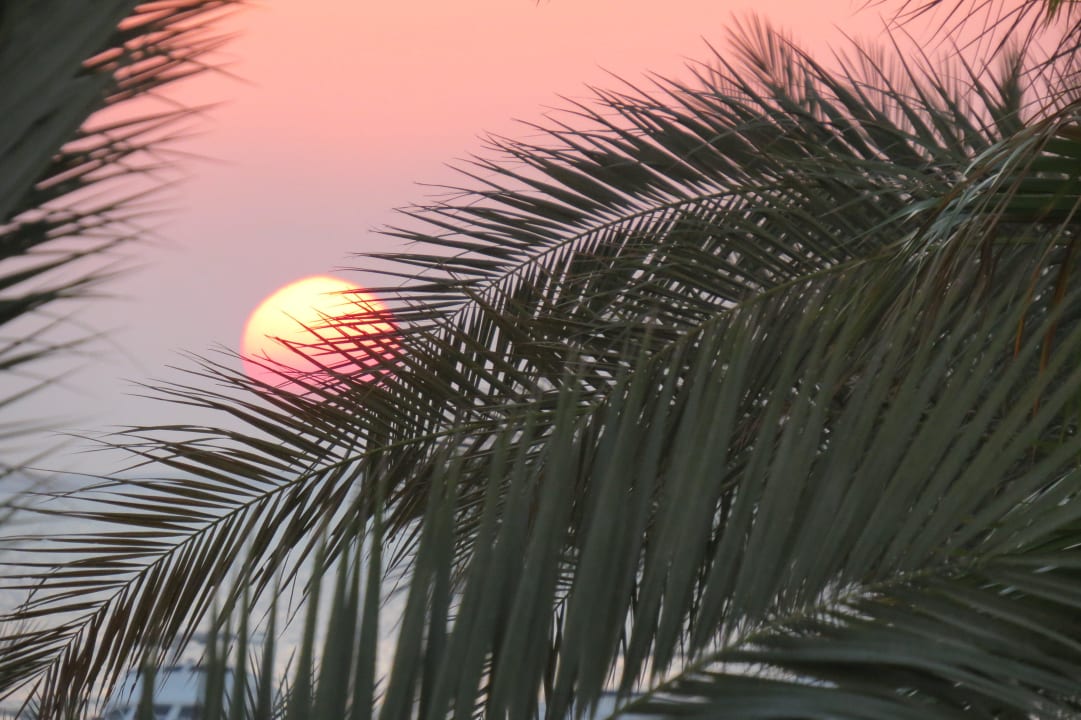 Sonnenuntergang 30.Okt.13 The Grand Hotel Hurghada