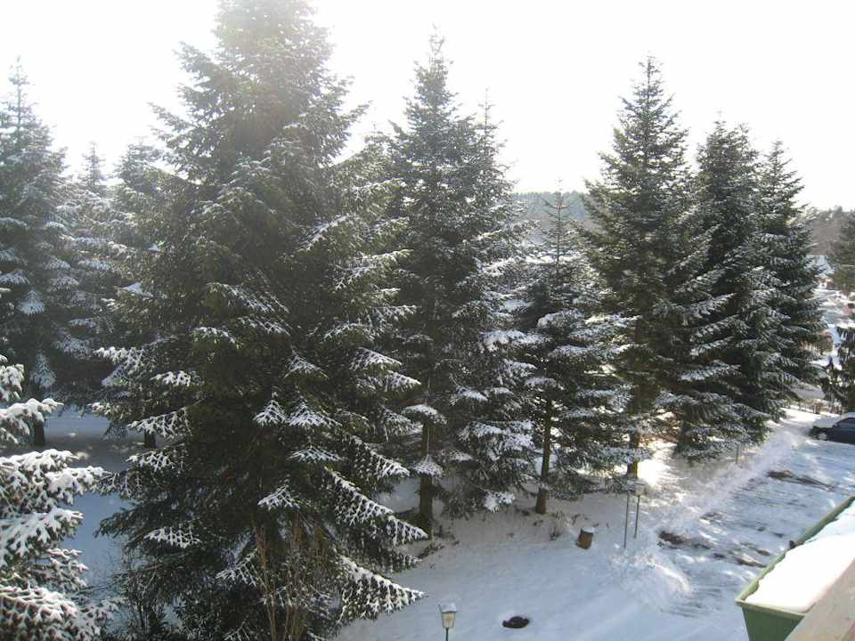 Blick vom Balkon Hotel Tannenhof