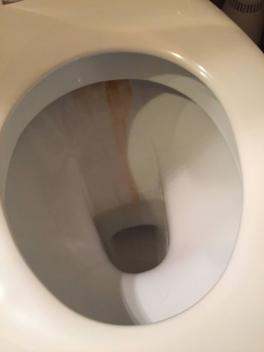 Schmutziges WC Hotel 3H Mannheim