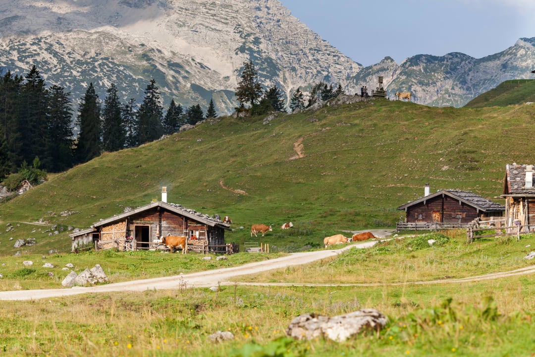 Sonstiges Grabenlehen