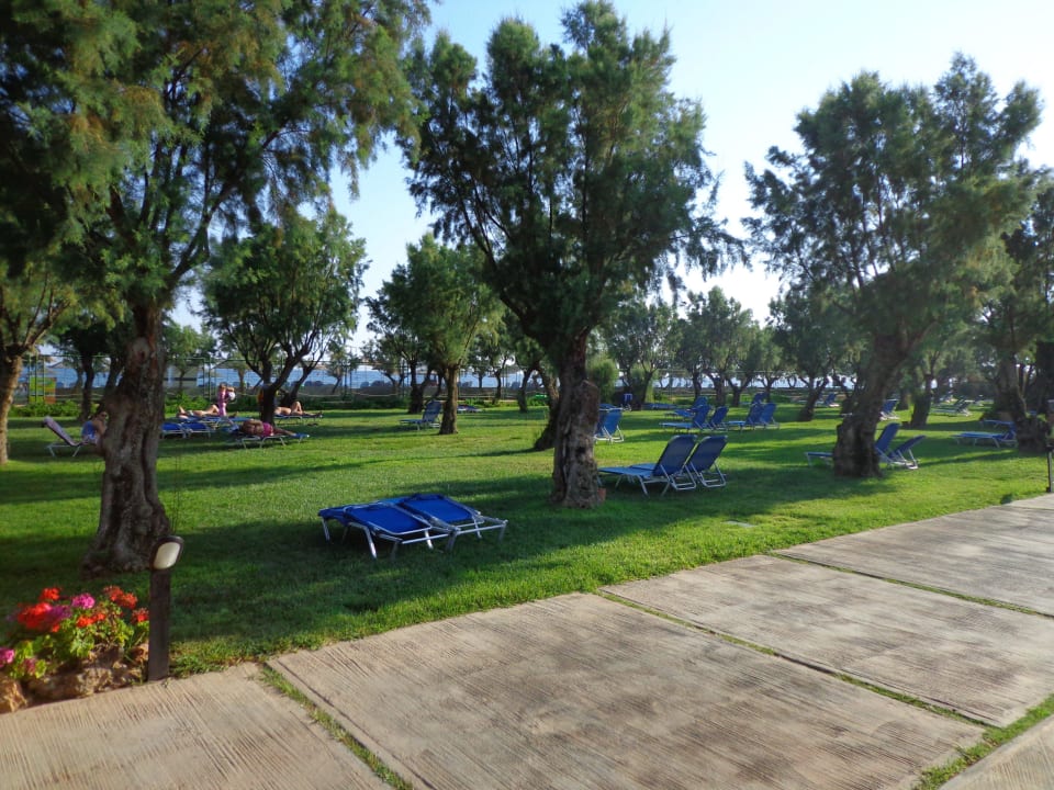 Liegewiese Anissa Beach & Village