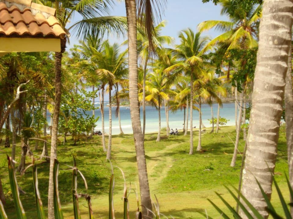 Blick vom Balkon Wyndham Alltra Samana