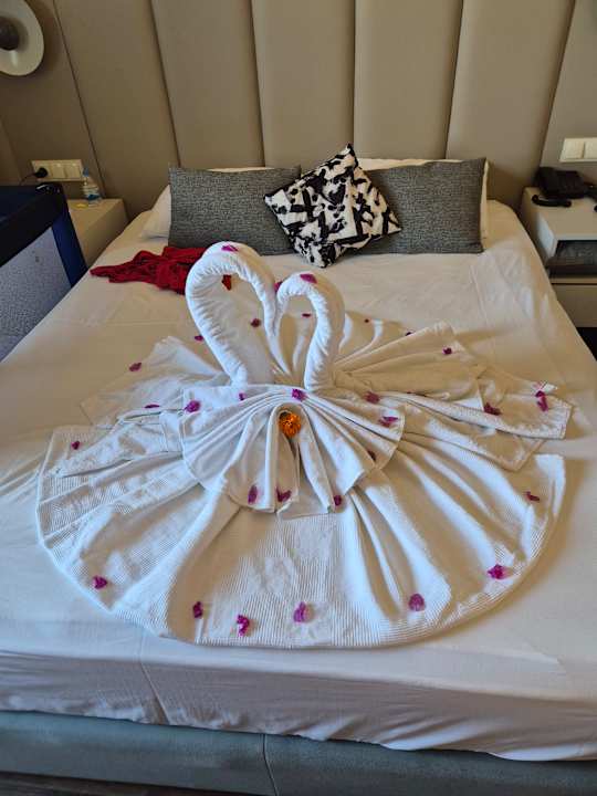 Zimmer Dream Water World