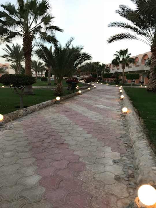 Gartenanlage Three Corners Sea Beach Resort