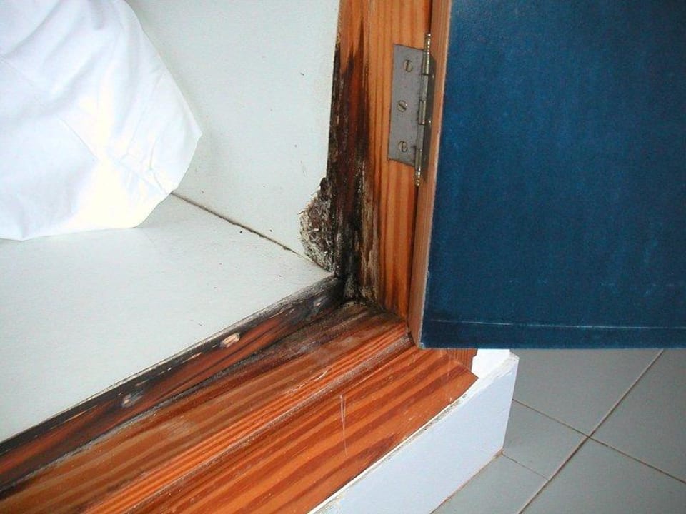 Wohnzimmerschrank neben der Küchenzeile Hipotels Mediterraneo Club