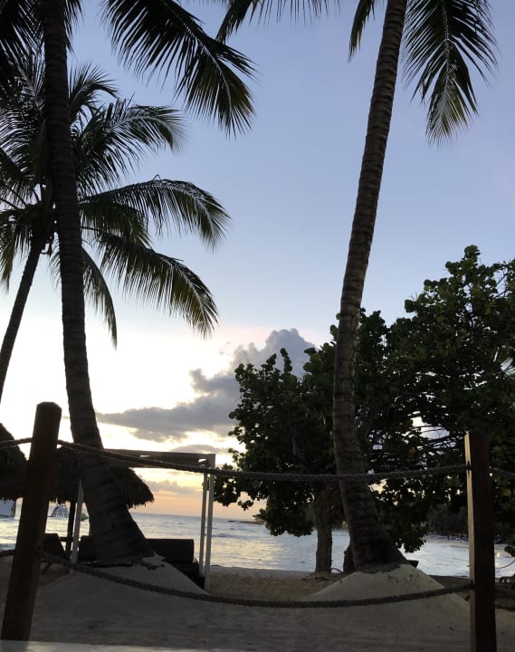 Strand Hotel Viva Dominicus Beach by Wyndham - All Inclusive Resort