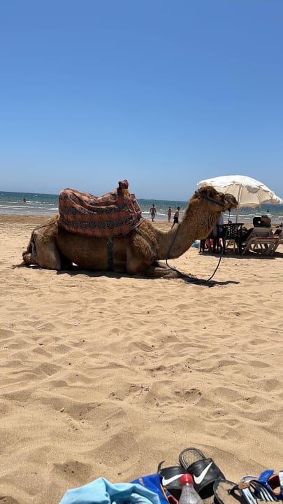 Strand Atlas Amadil Beach Hotel