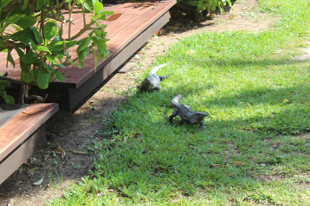 Sonstiges Akumal Bay Beach & Wellness Resort