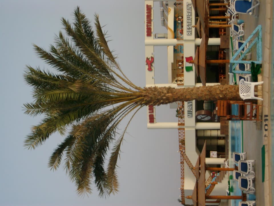 Blick zum neuen Poolrestaurant Aladdin Ali Baba Palace Hotel