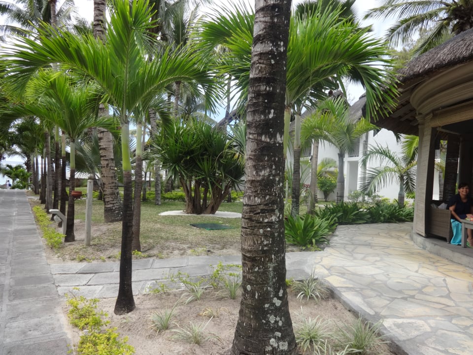 Gartenanlage Veranda Palmar Beach Hotel