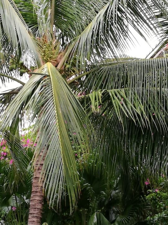 Ausblick Hoang Ngoc Beach Resort