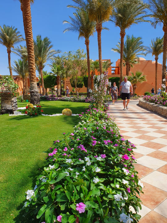 Gartenanlage Jaz Makadi Oasis Resort