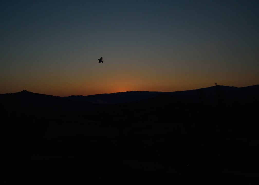 Außenansicht Agriturismo Podere del Vescovo