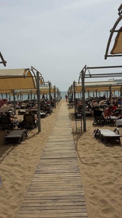 Liegen am Strand  Aydinbey Kings Palace & Spa