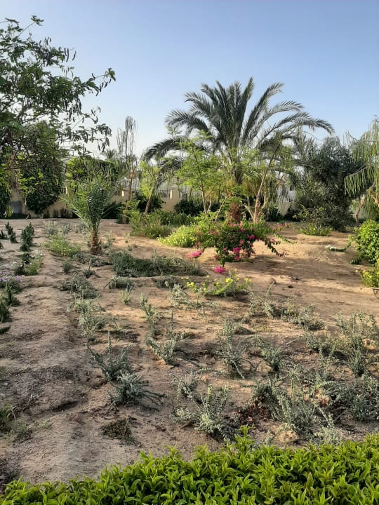 Gartenanlage Cleopatra Luxury Resort Makadi Bay