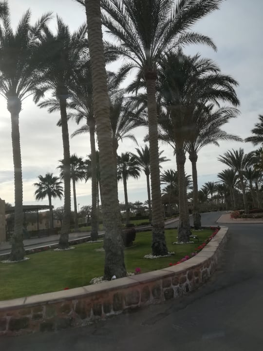 Gartenanlage Mövenpick Resort El Quseir