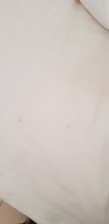 Zimmer Royal Star Beach Resort