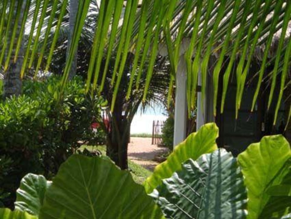 Gartenanlage Shunyata Villa