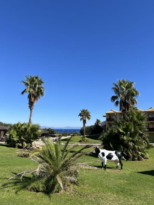 Gartenanlage Hotel Kalithea Horizon Royal