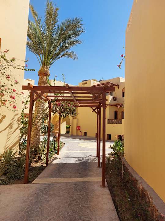 Gartenanlage Steigenberger Coraya Beach - Adults only