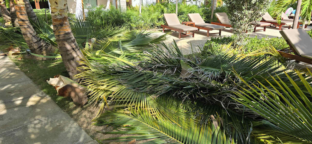 Ausblick Dreams Flora Resort & Spa - All Inclusive
