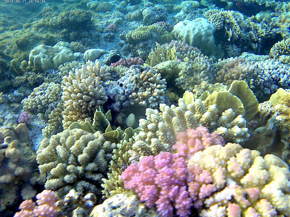 Sport & Freizeit Serenity Alpha Beach