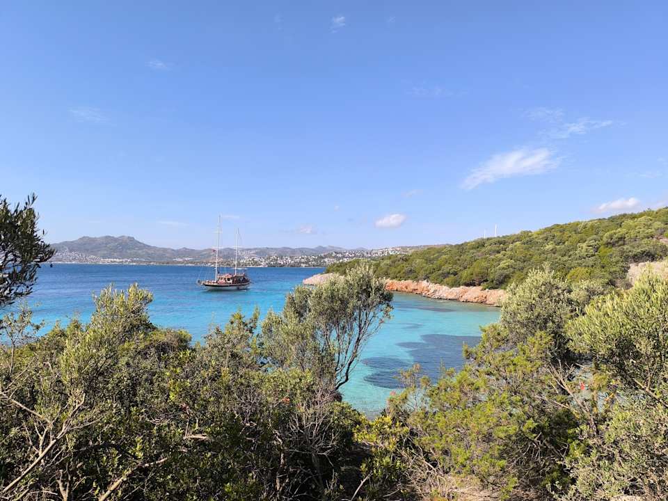 Sonstiges Paloma Family Club