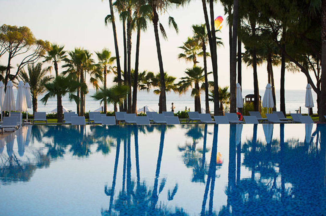 Pool Acanthus Cennet Barut Collection