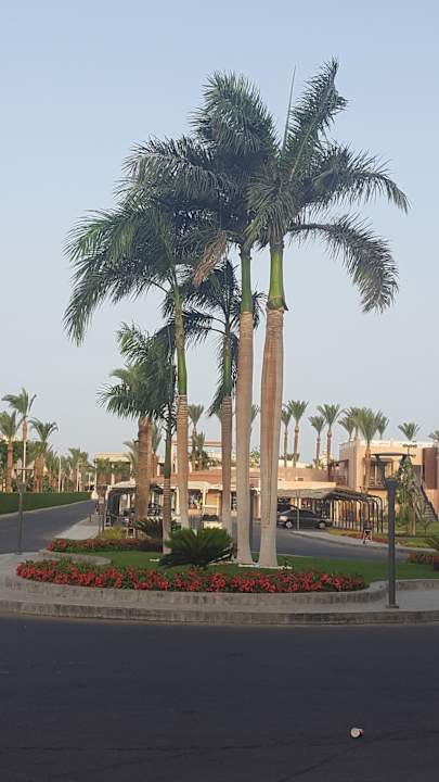 Gartenanlage Beach Albatros Resort