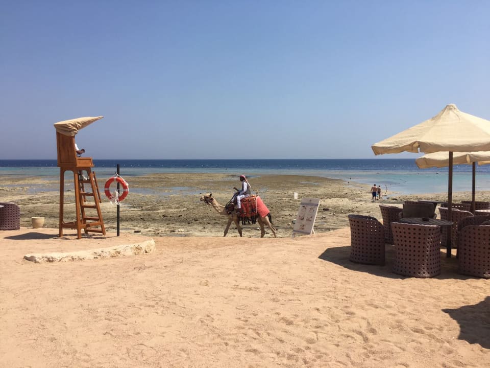 Strand Makadi Spa - Adults only