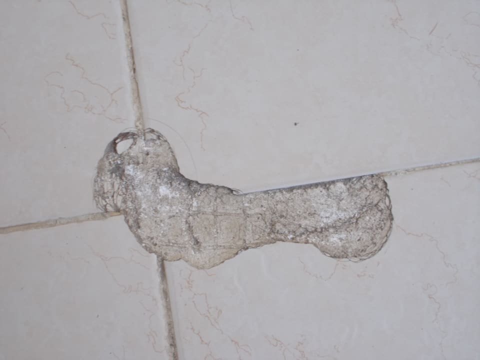 Sonstiges Sirenis Tropical Varadero