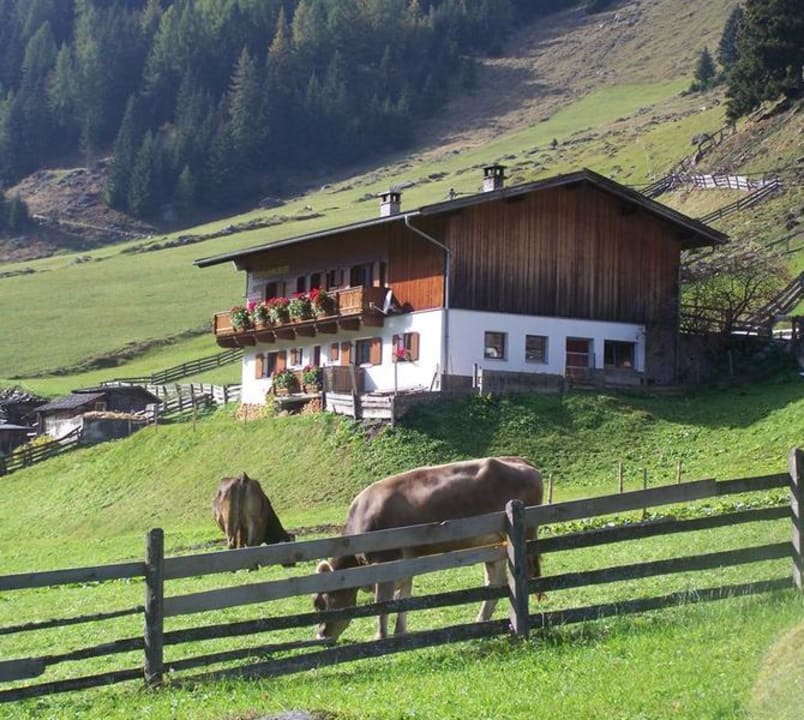 Auf der alm