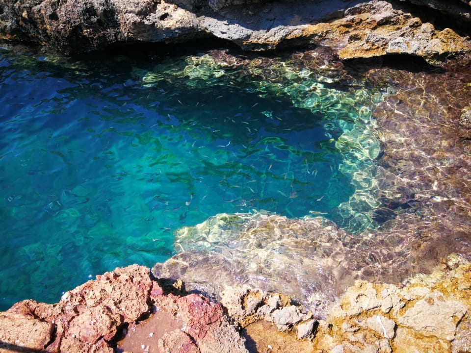 Sonstiges Motiv Club Resort Atlantis
