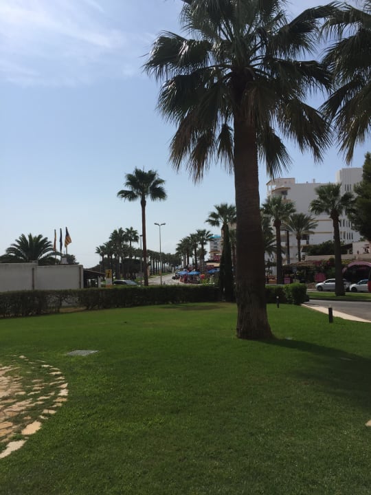 Außenansicht allsun App.-Hotel Orient Beach