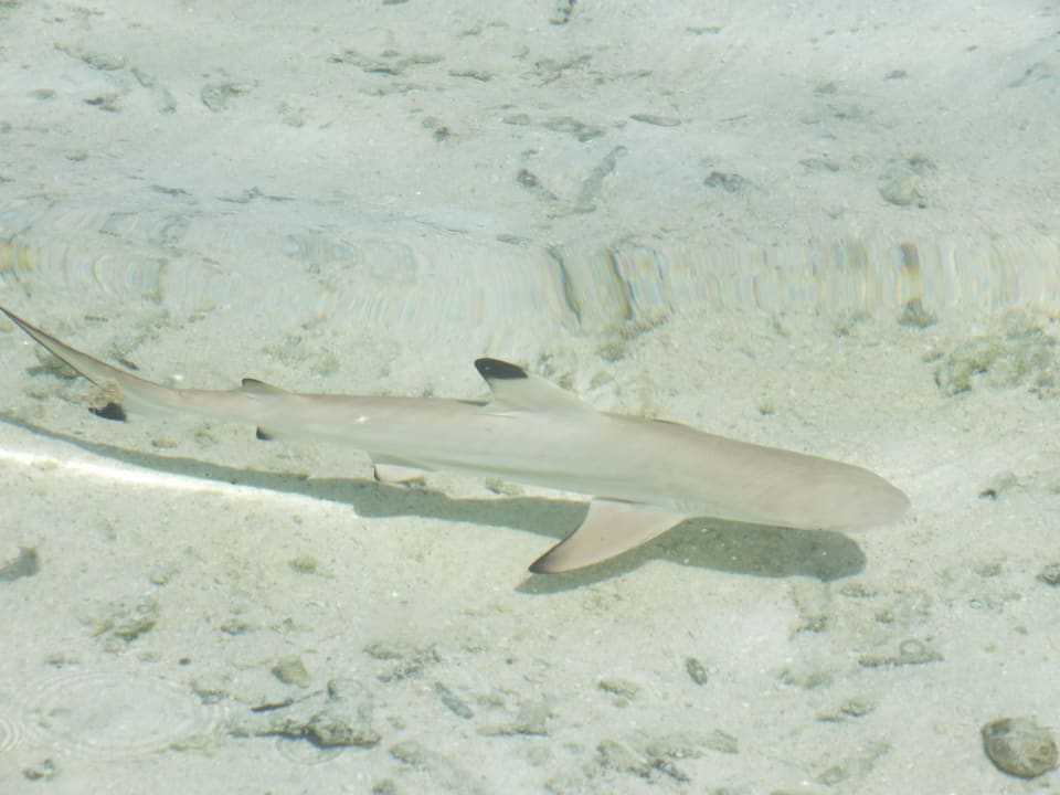 Baby-Hai Adaaran Select Hudhuran Fushi - Premium All Inclusive