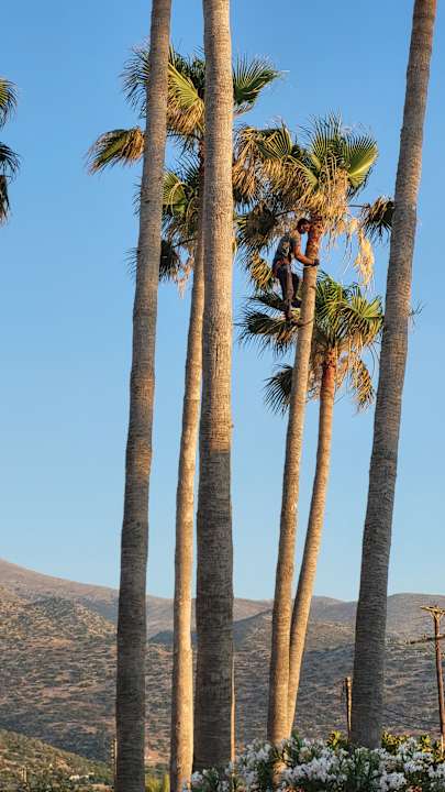 Außenansicht allsun Hotel Carolina Mare
