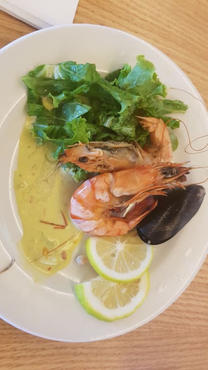 Gastro Atlantica Plimmiri
