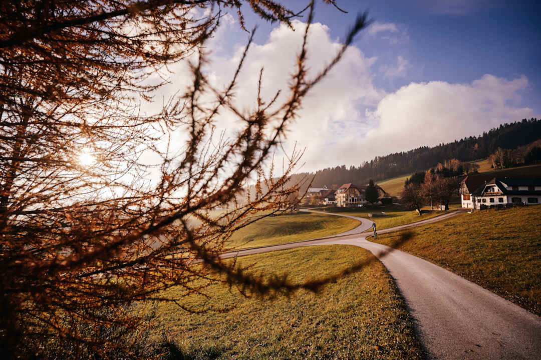 Sonstiges Wildwiesenhof Miesenbach bei Birkfeld