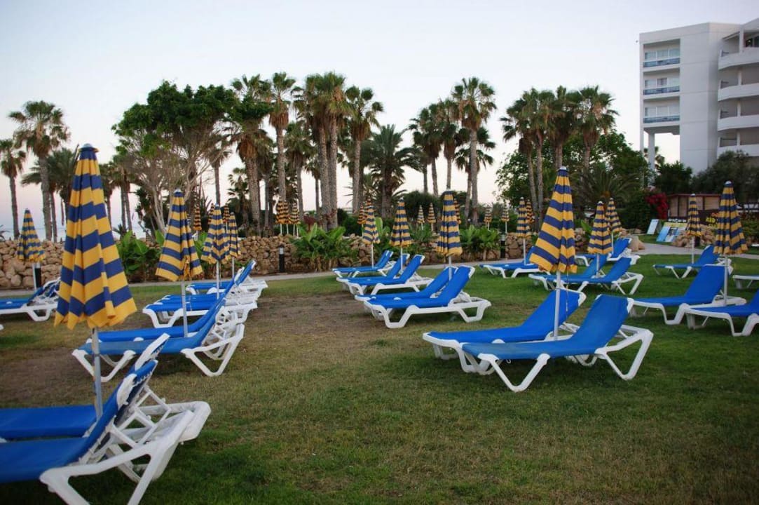 Plaża wczesnym świtem Leonardo Cypria Bay - Family Resort