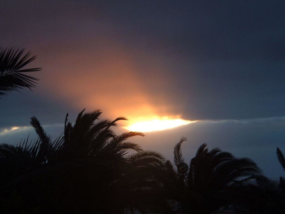 Sonnenaufgang allsun App.-Hotel Esquinzo Beach