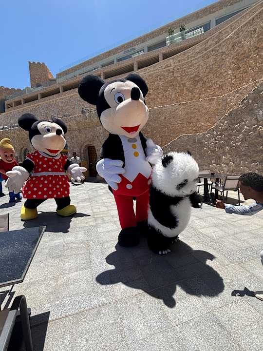 Sonstiges Pickalbatros Citadel Resort