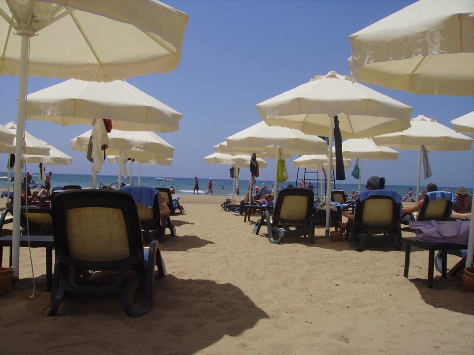 Hotel-Strand Sentido Trendy Verbena Beach