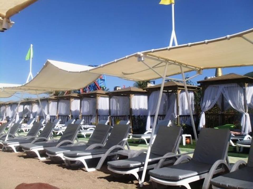 Immer sind genügend freie Liegen da! Hotel Delphin Imperial