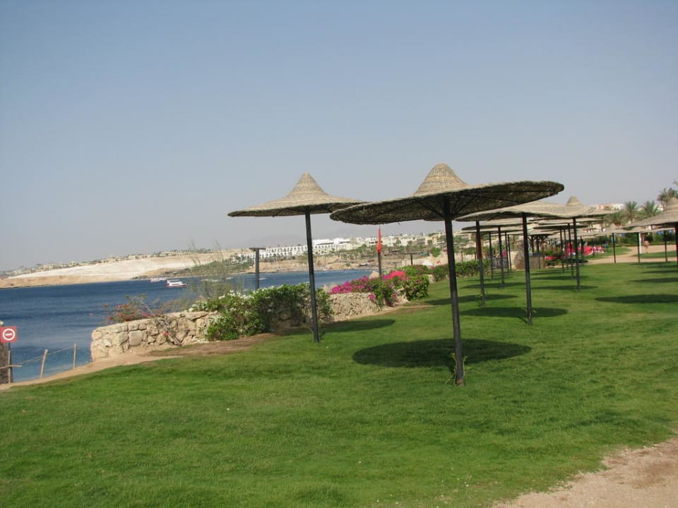 Liegewiese Siva Sharm
