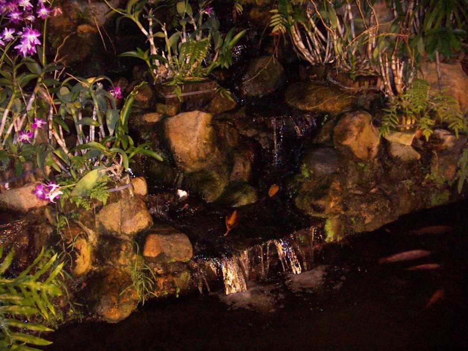 Garten Banana Fan Sea Resort