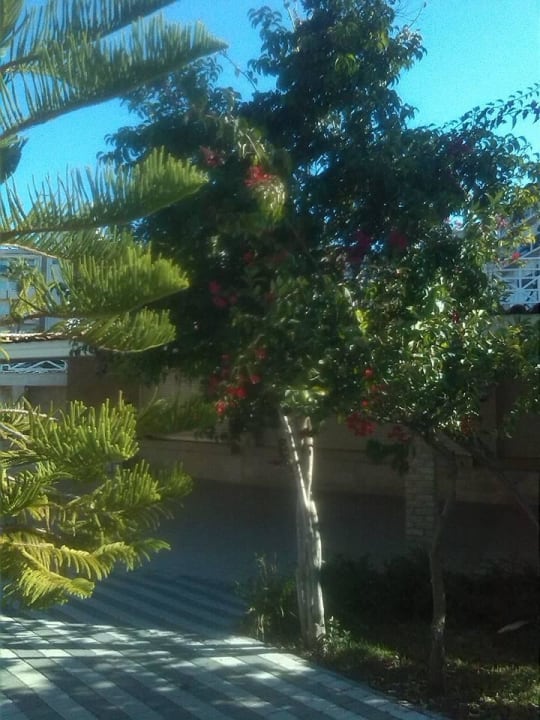 Weg zum Strand Seaden Corolla Hotel